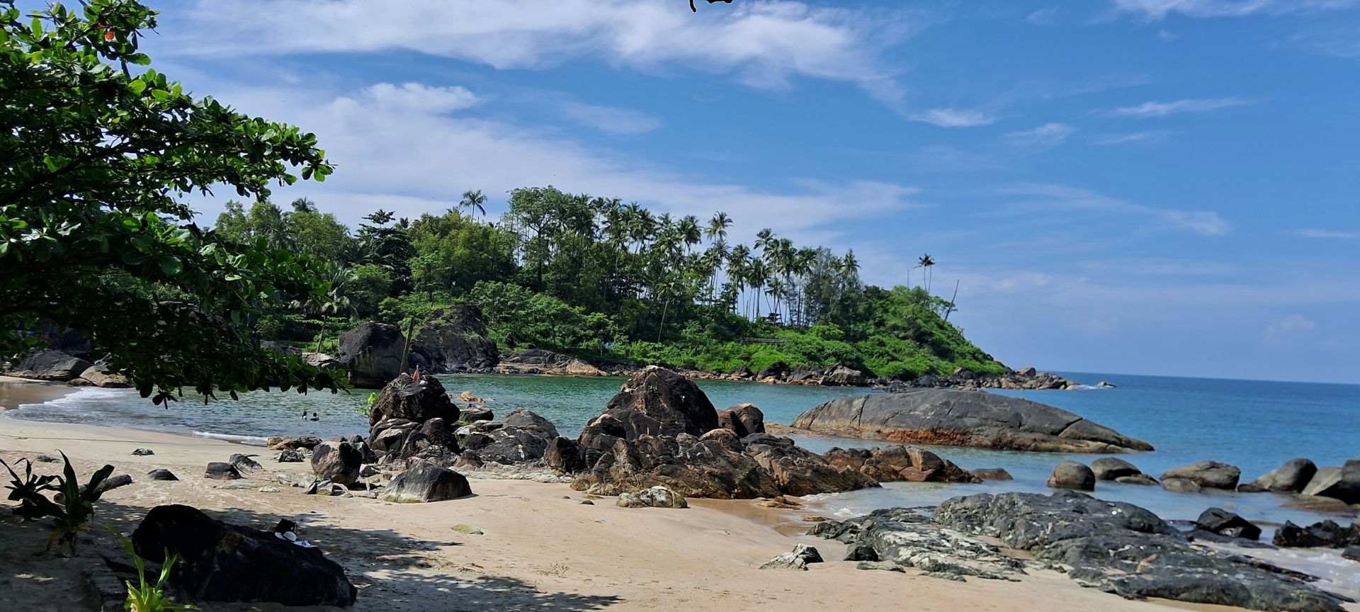 Palolem Beach curving around a rocky, palm-covered cove